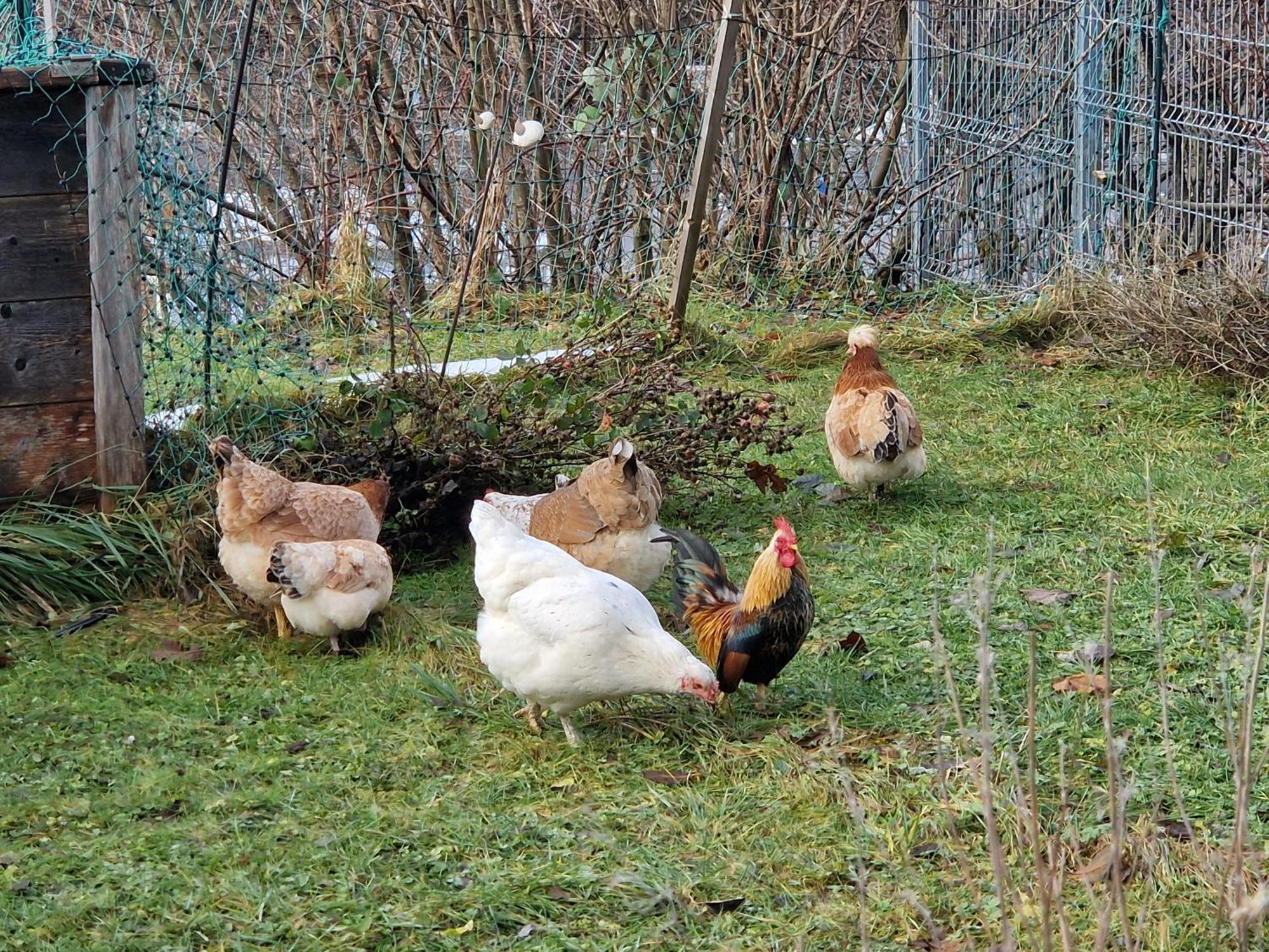 Kachelofenwohnung Poelzleitner Annaberg im Lammertal Εξωτερικό φωτογραφία