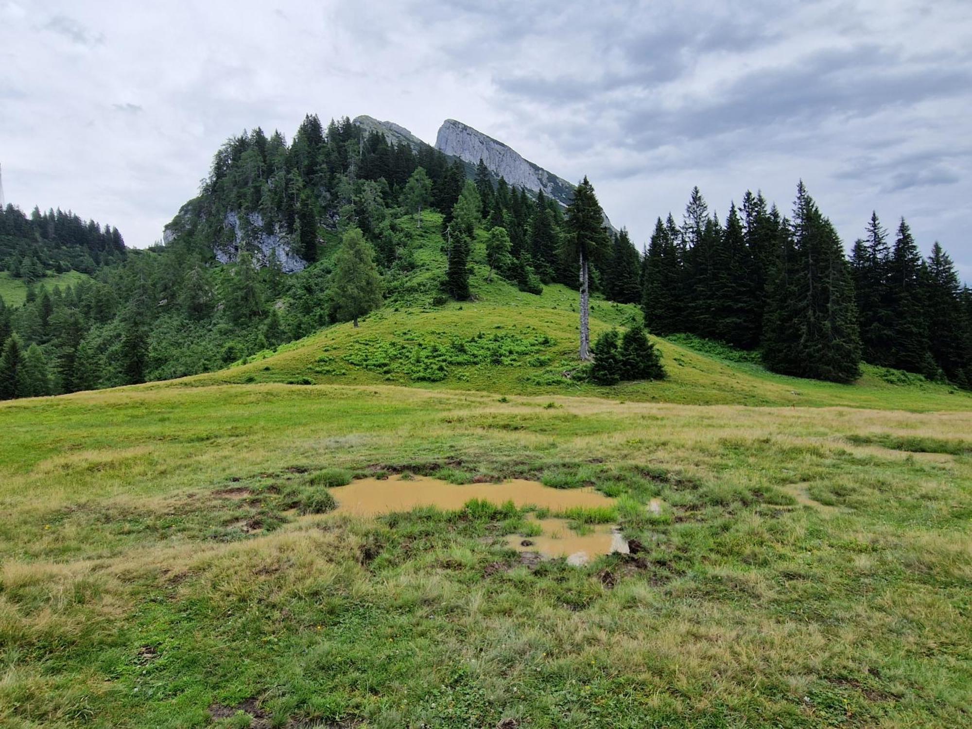 Kachelofenwohnung Poelzleitner Annaberg im Lammertal Εξωτερικό φωτογραφία