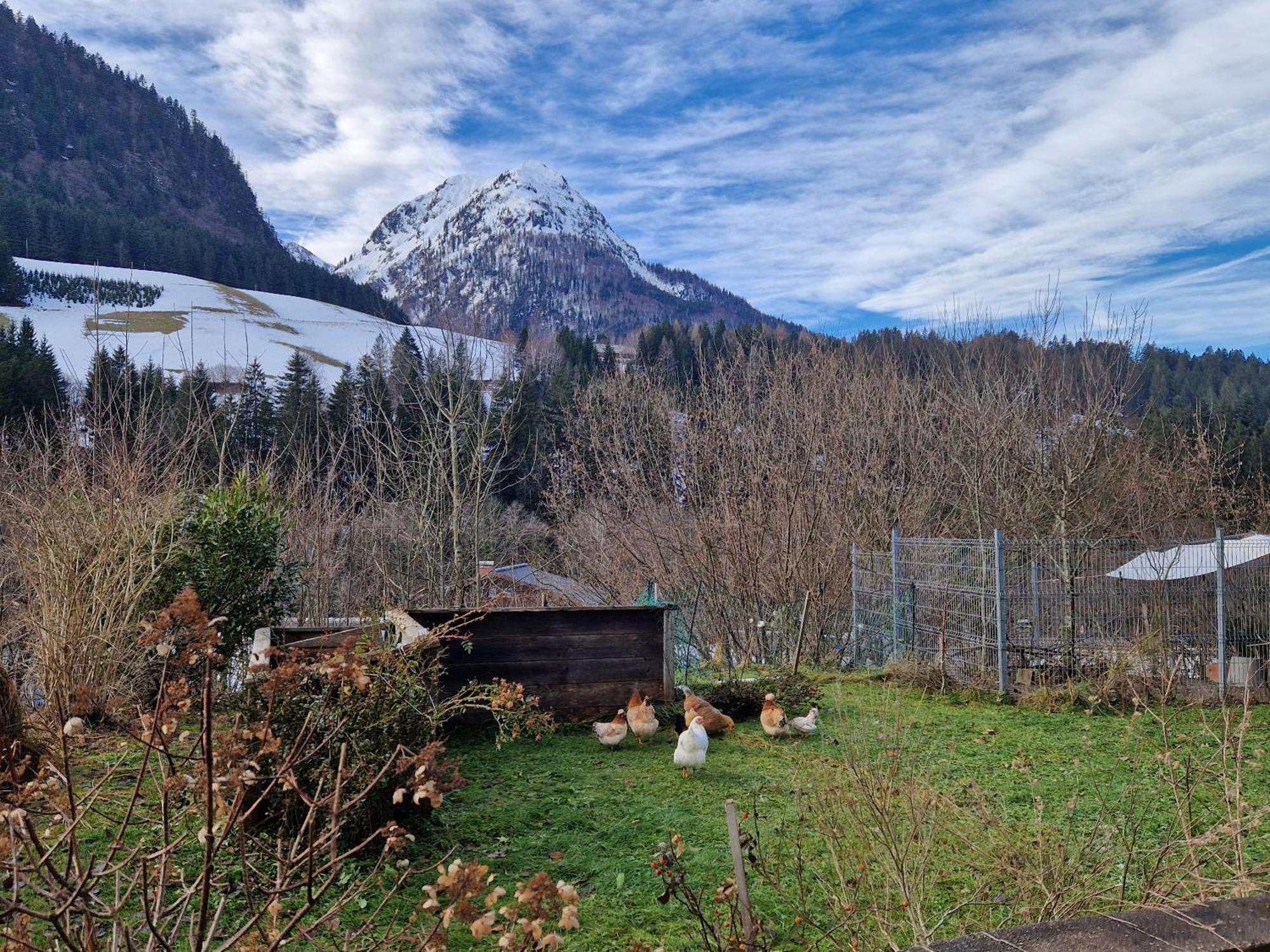 Kachelofenwohnung Poelzleitner Annaberg im Lammertal Εξωτερικό φωτογραφία