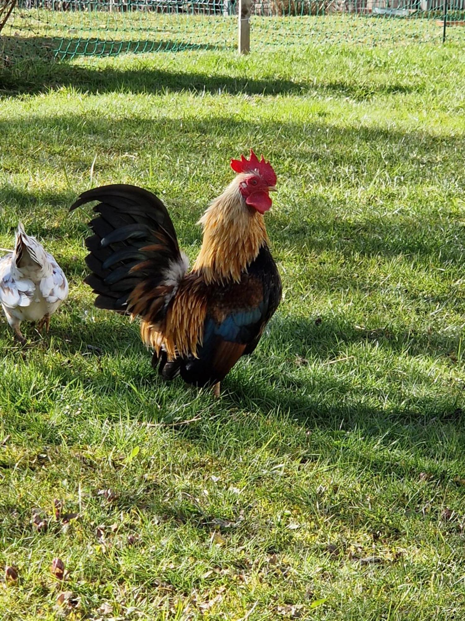 Kachelofenwohnung Poelzleitner Annaberg im Lammertal Εξωτερικό φωτογραφία